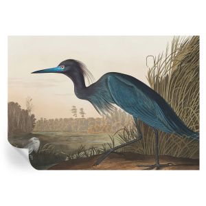 Papel de parede vinílico aves aquáticas 312x219 tulup