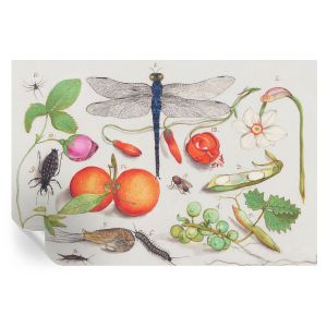 Papel de parede autocolante ilustração da natureza 104x152 tulup
