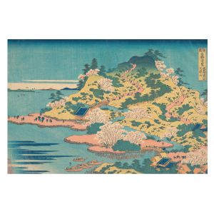 Papel de parede tecido não tecido 250x250 paisagem japonesa tulup