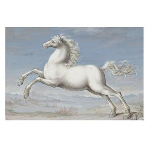 Papel de parede non-woven 312x219 cavalos no salto tulup