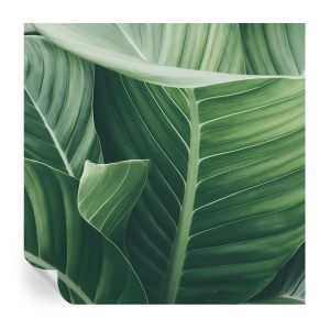 Papel parede adesivo paz verde 250x250 tulup