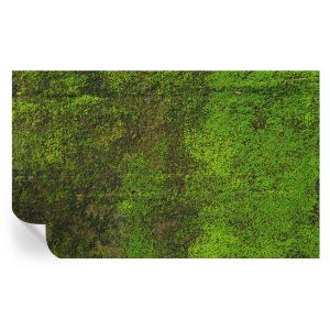 Papel de parede autocolante tapete verde 416x254 tulup