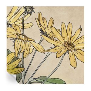 Papel de parede autocolante flores em aquarela 250x250 tulup