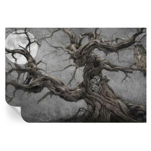 Papel de parede adesivo coruja misteriosa 104x152 tulup