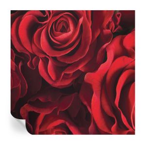 Papel parede adesivo rosas vermelhas 250x250 tulup