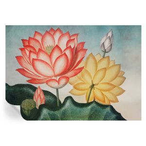 Papel de parede autocolante flores de lótus 208x146 tulup