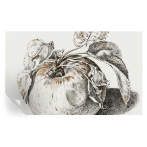 Papel de parede autocolante folhas de maçã 416x254 tulup