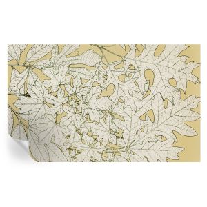 Papel de parede adesivo folhas de árvore 416x254 tulup