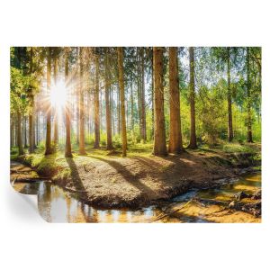 Papel de parede autocolante idílio na floresta 208x146 tulup