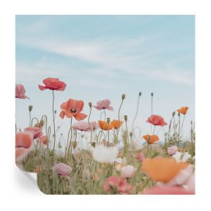 Papel parede adesivo flores de papoula 250x250 tulup