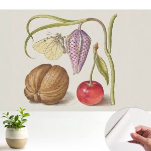 Papel de parede autocolante planta borboleta 250x250 tulup