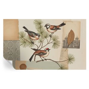 Papel parede adesivo colagem de pássaros 416x254 tulup
