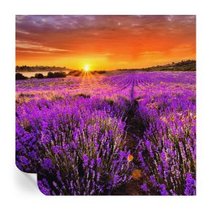 Papel de parede vinílico pôr do sol lavanda 250x250 tulup