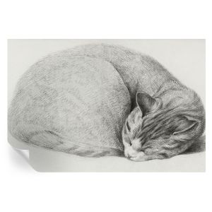 Papel parede adesivo gato enrolado 104x152 tulup