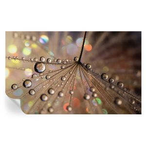 Papel de parede adesivo gotas de pérola 416x254 tulup