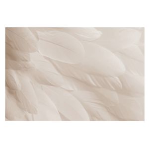 Papel de parede para paredes 250x250 penas etéreas tulup
