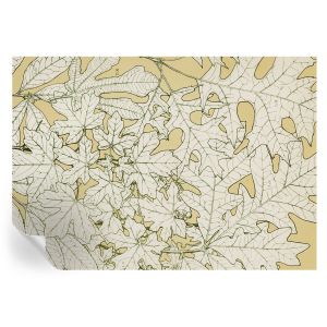 Papel de parede adesivo folhas de árvore 208x146 tulup