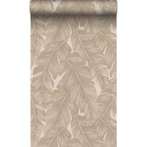 Origin papel de parede   folhas de palmeira bege 50 x 900 cm