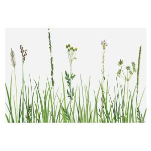 Papel de parede tecido não tecido 250x250 flora sutil tulup