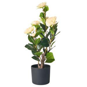 Planta artificial camellia 60 cm verde