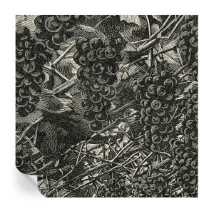 Papel de parede adesivo estampa de uva 250x250 tulup