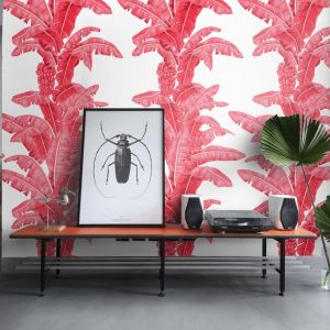 Papel de parede palma tropical