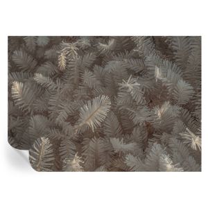 Papel de parede vinílico galhos gelados 208x146 tulup