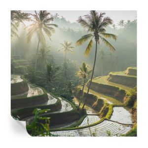 Papel de parede adesivo terraços paradisíacos 250x250 tulup