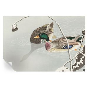 Papel de parede autocolante patos calmos 104x152 tulup