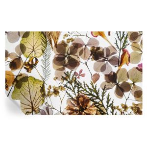 Papel parede adesivo composição natural 416x254 tulup