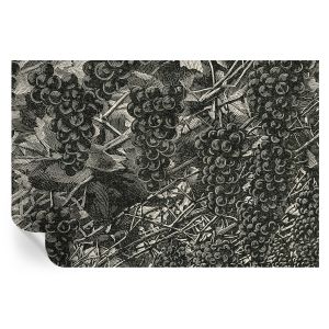 Papel de parede adesivo estampa de uva 104x152 tulup