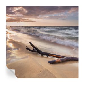 Papel parede adesivo praia oeste 250x250 tulup