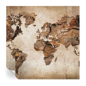 Papel de parede vinílico mapa de madeira 250x250 tulup