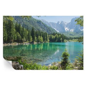 Papel de parede vinílico lago verde 104x152 tulup