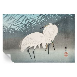Papel de parede adesivo pássaros delicados 104x152 tulup