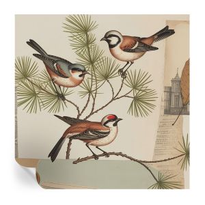 Papel parede adesivo colagem de pássaros 250x250 tulup