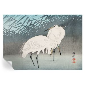 Papel de parede adesivo pássaros delicados 208x146 tulup
