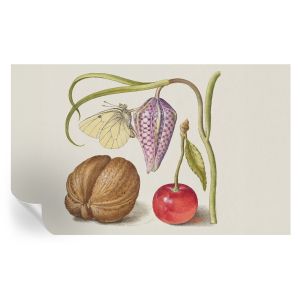Papel de parede autocolante planta borboleta 416x254 tulup