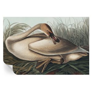 Papel de parede vinílico pássaro natural 104x152 tulup