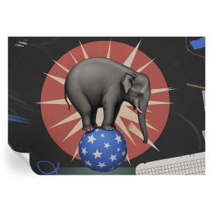 Papel de parede adesivo elefante de circo 208x146 tulup