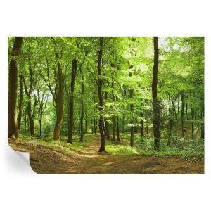 Papel de parede adesivo caminho natural 208x146 tulup