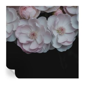 Papel de parede adesivo um buquê delicado 250x250 tulup