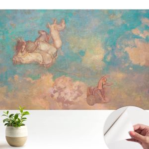 Papel parede adesivo pégaso celestial 250x250 tulup