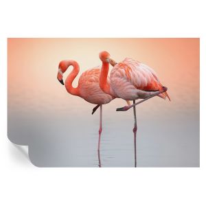 Papel de parede vinílico flamingos delicados 104x152 tulup