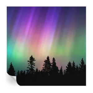 Papel de parede vinílico céu mágico 250x250 tulup