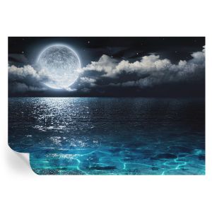 Papel de parede adesivo mar noturno 208x146 tulup