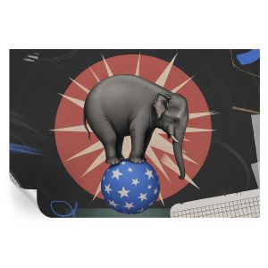Papel de parede adesivo elefante de circo 104x152 tulup