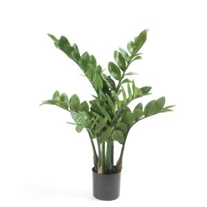 Emerald zamioculcas artificial 70 cm
