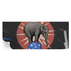 Papel de parede adesivo elefante de circo 250x104 tulup
