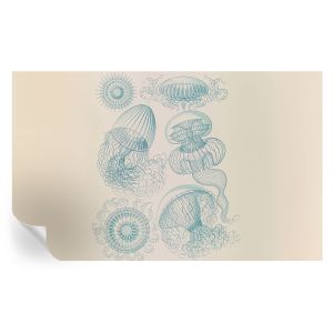 Papel de parede adesivo medusa marinha 416x254 tulup